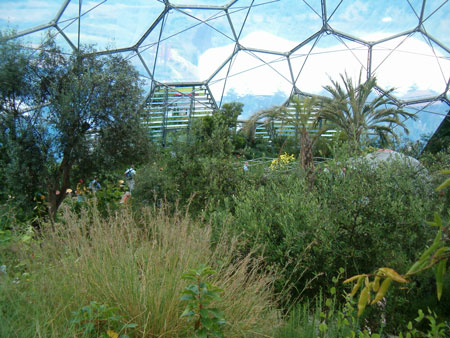 Eden Project