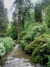 Bodnant Garden