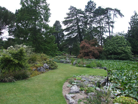 Botanische tuin in Cambridge